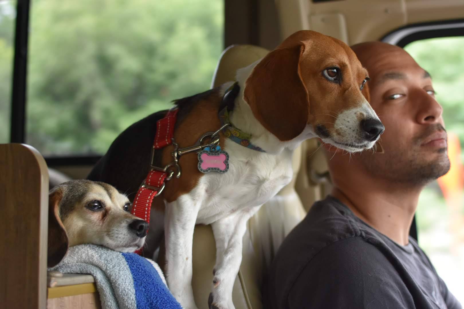Buckle up, folks!