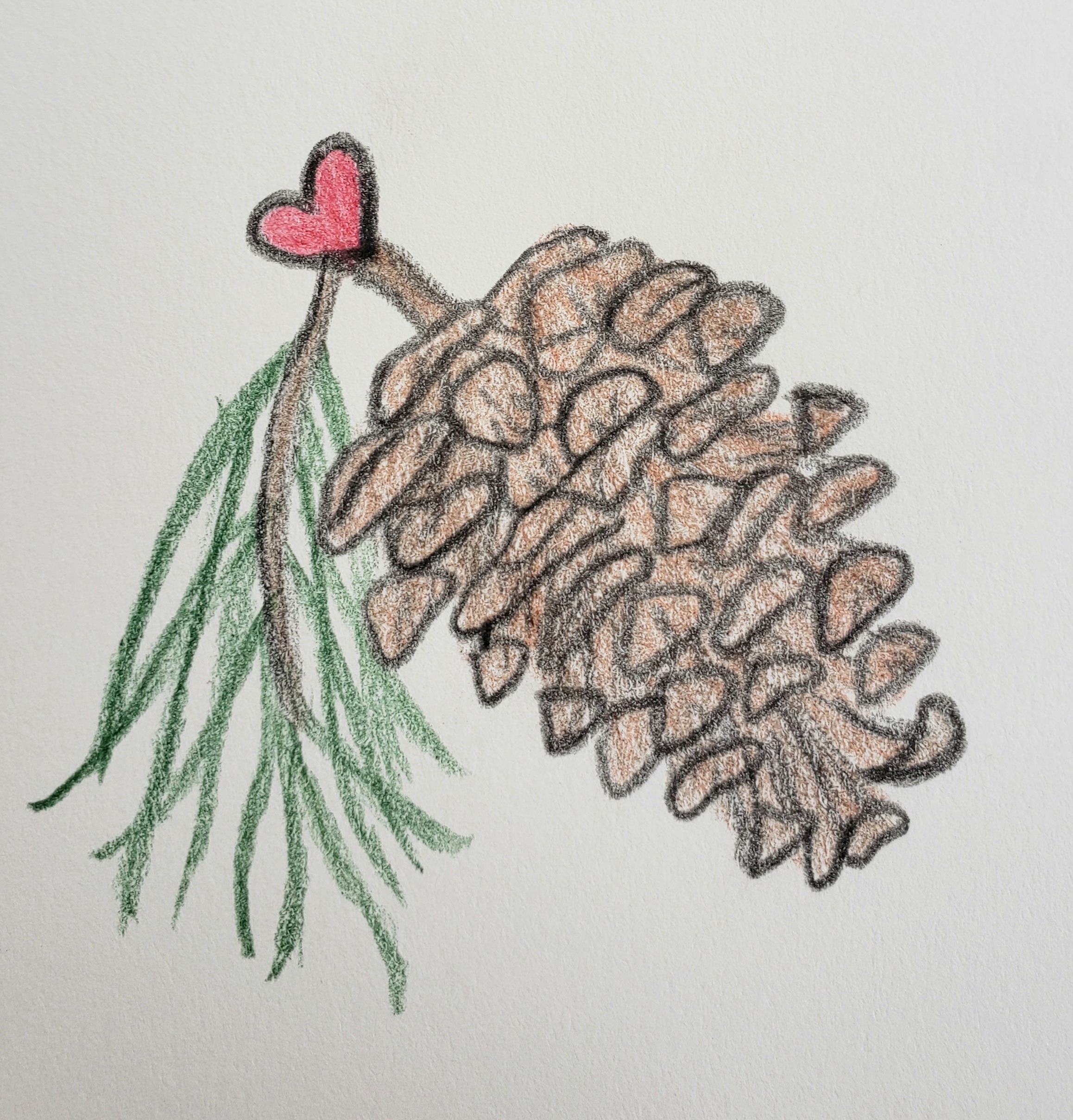 Pause for Joy [a rejected essay]