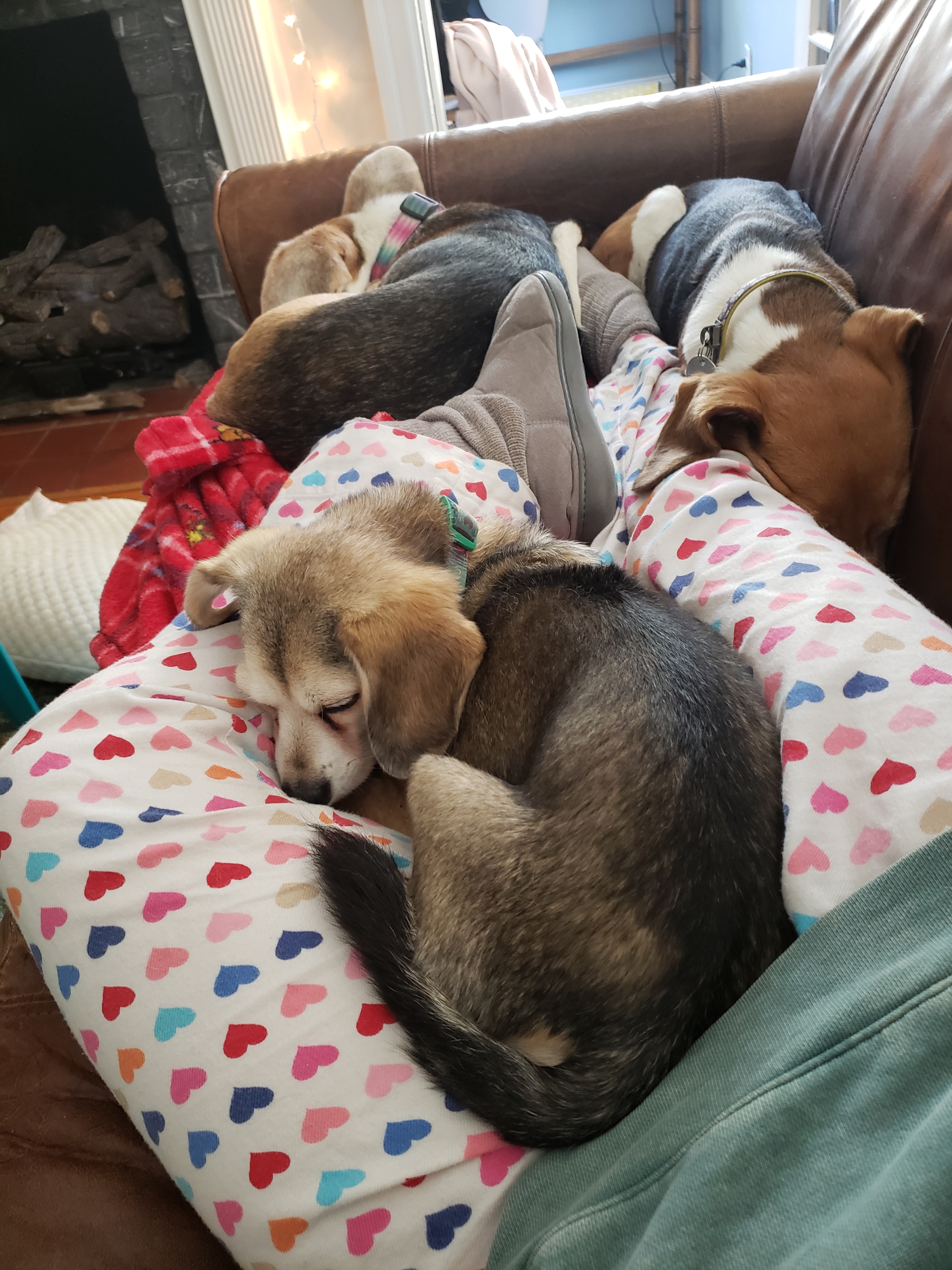 Cuddle parties and self-care