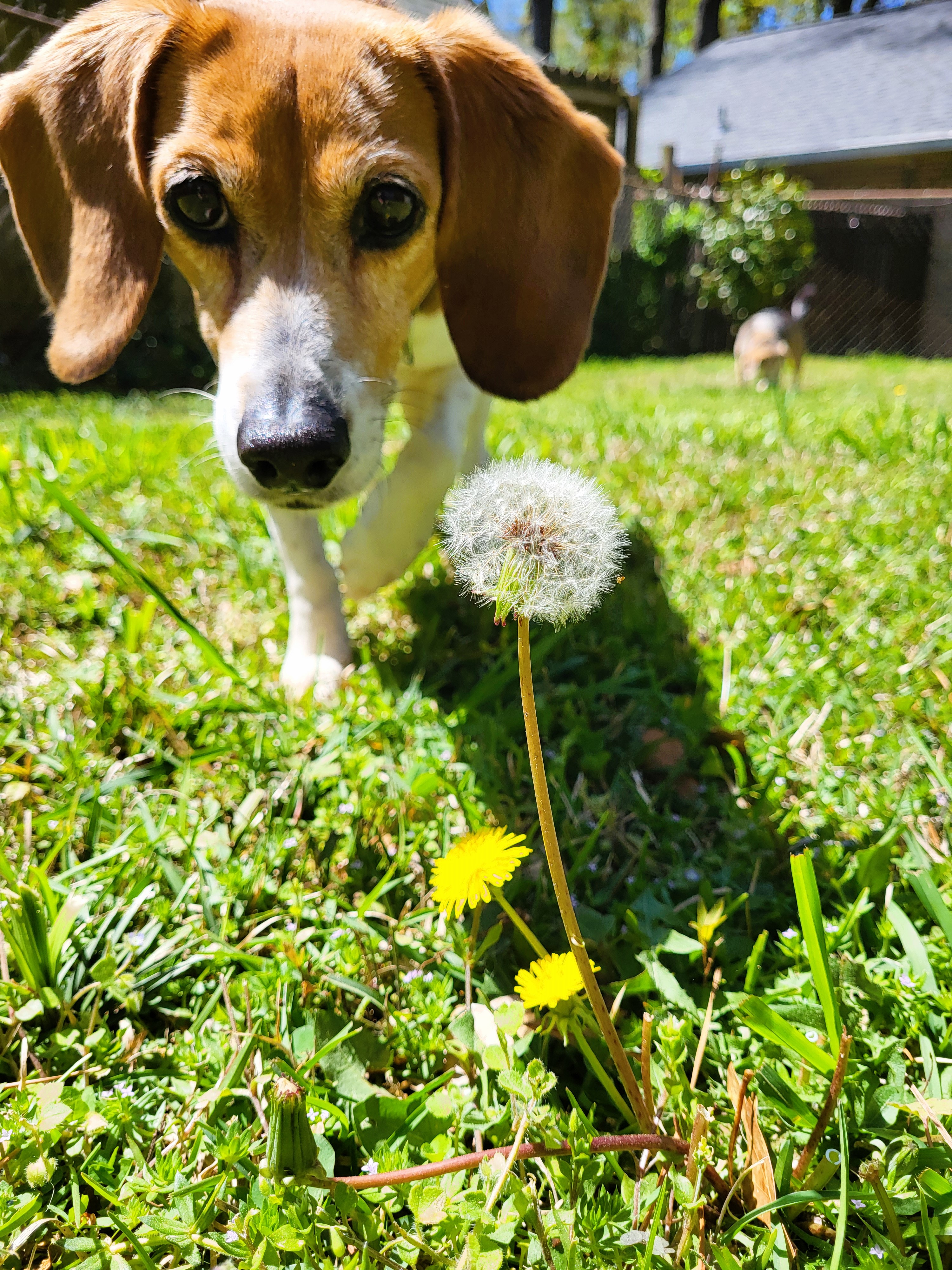 At therapy this morning…