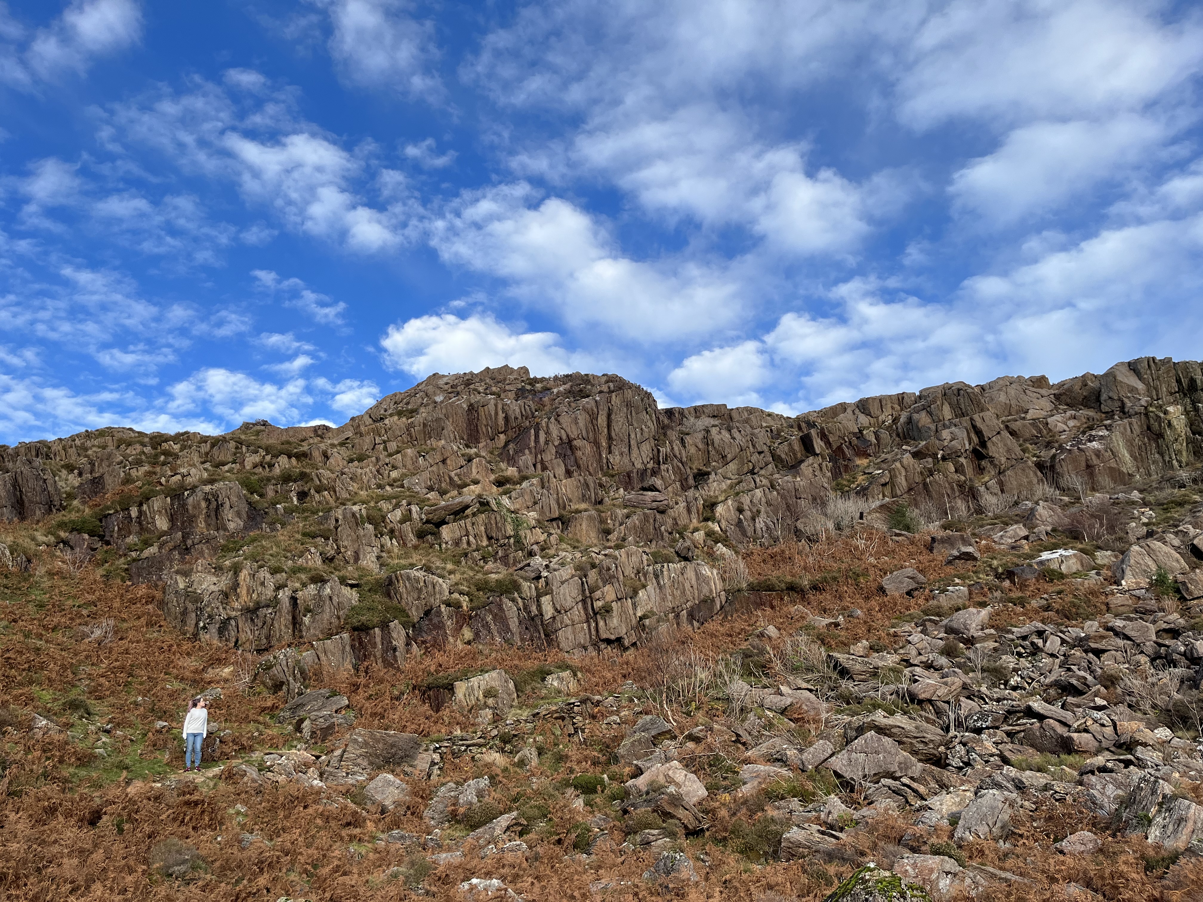 A flight of imagination