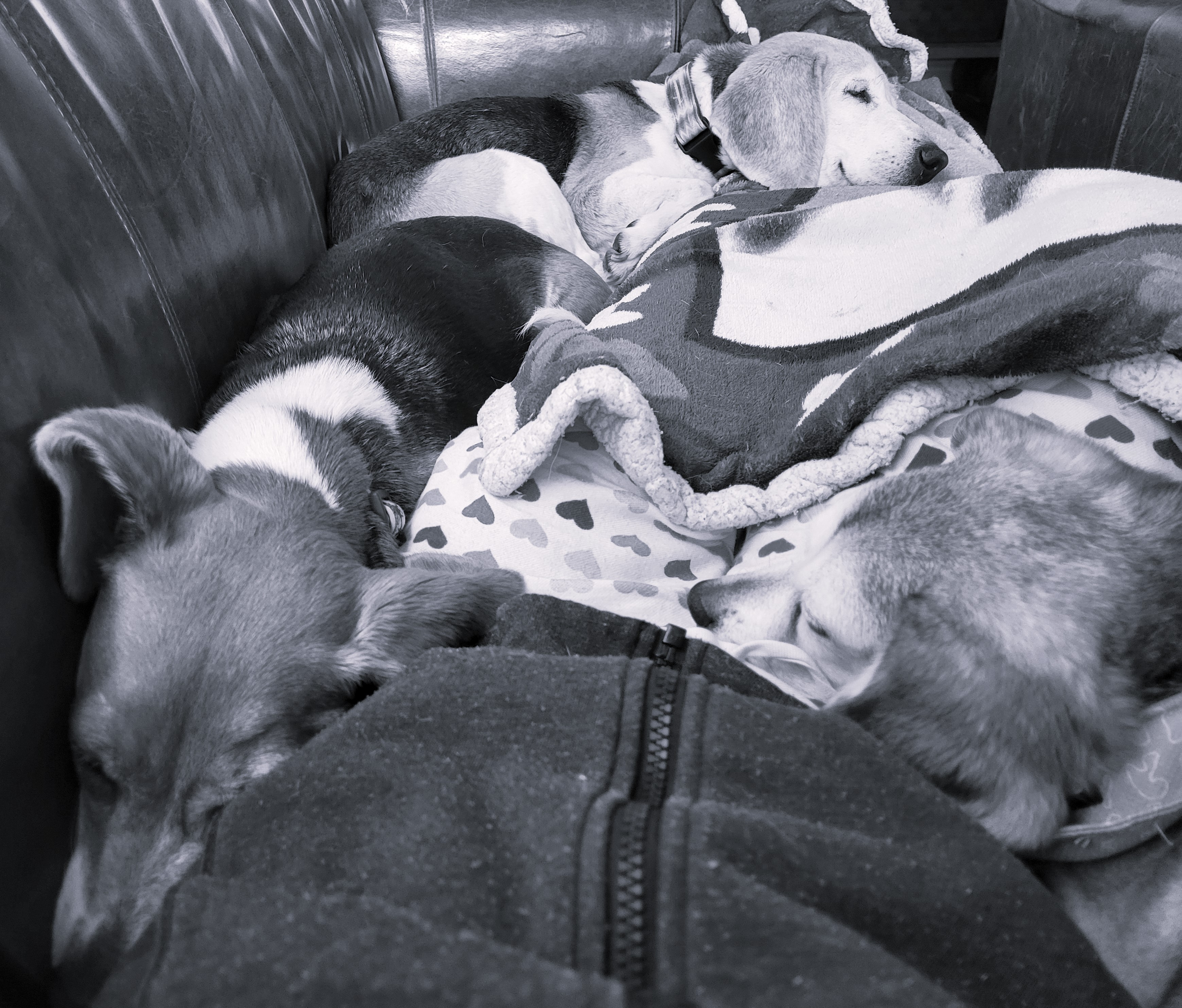 Twenty Twenty Thrive